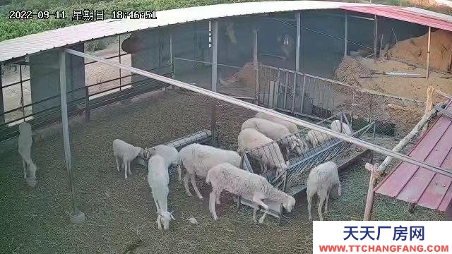 (出租) 五原廠房 蠻克素東500米國道旁 養殖場