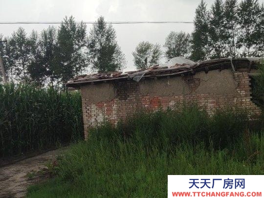 蘭西土地類型是可建廠，養(yǎng)殖，加工。