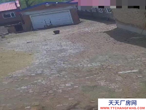 蘭西肖天洞村現(xiàn)有豬場(chǎng)，設(shè)備齊全，