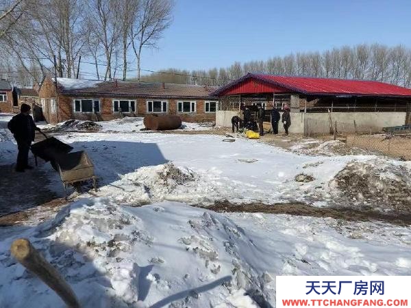 蘭西現(xiàn)有豬場(chǎng)，設(shè)備齊全