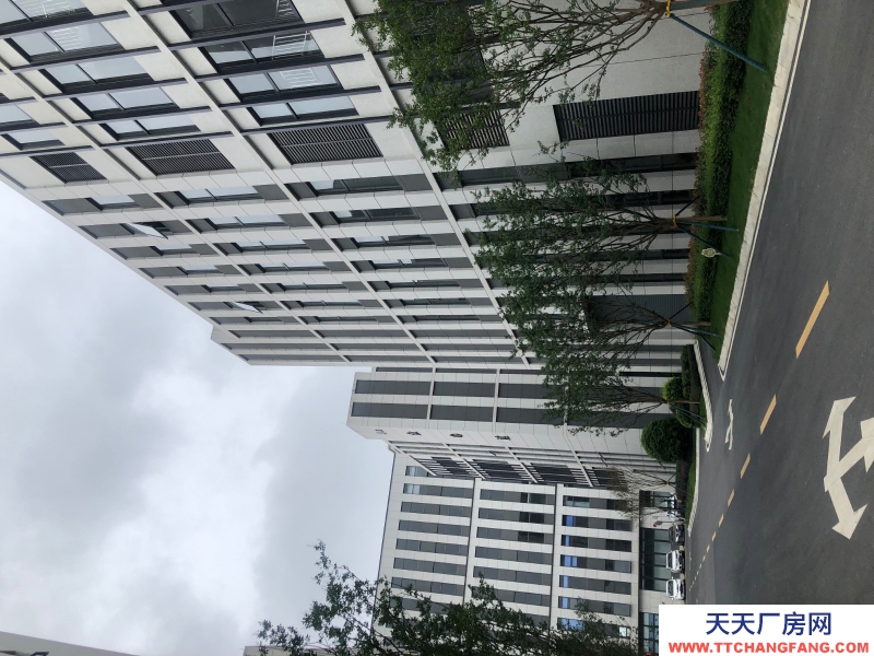 雙流區全新廠房招商可分割產權