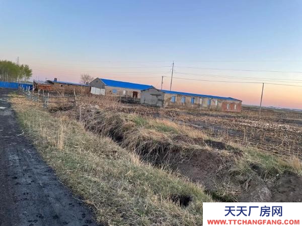 安達西十八里有15000多平！適合養殖！附帶3000多棵樹