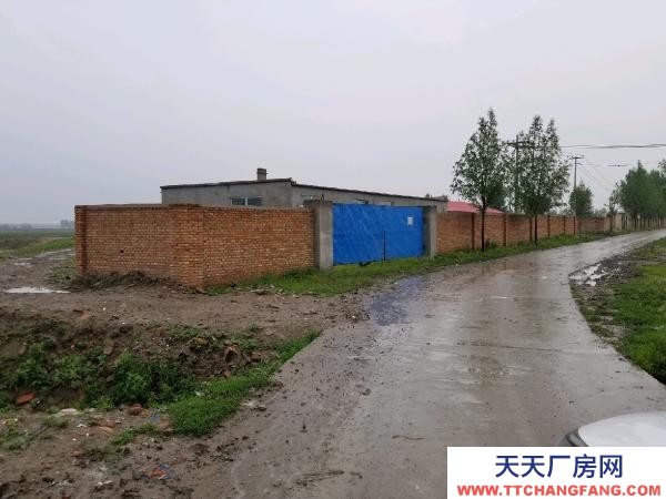 安達 空氣好養豬養牛好地點，也可以當別墅出門就是203國道