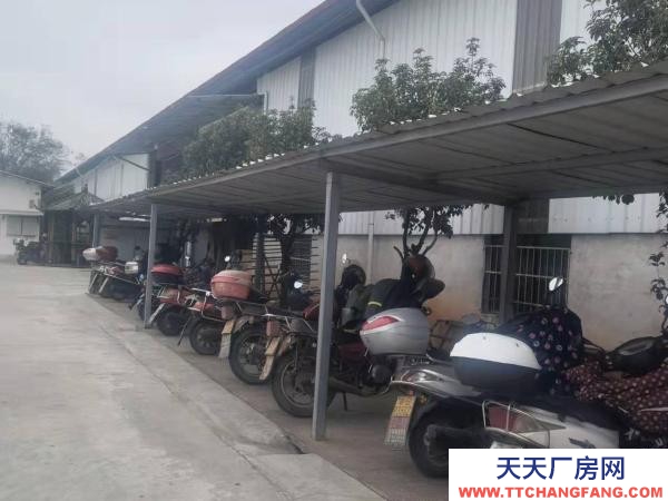 贛州市大余機加工廠房 池江鎮國道往里一公里 廠房 6500平米