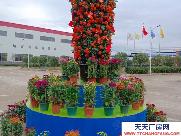 贛州市尋烏電子廠房  尋烏花園式廠房出租，可生產(chǎn)五金.電子等各種重型工業(yè)，倉儲物流