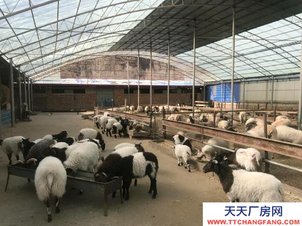 大通養(yǎng)殖很合適，直接用就行