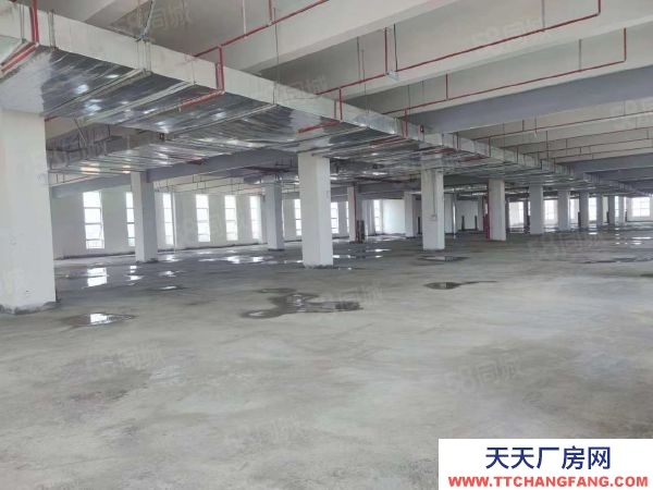 九江市潯陽物資倉庫  帶免租園區(qū)倉庫對(duì)外直招 無轉(zhuǎn)讓費(fèi) 隨時(shí)可入駐