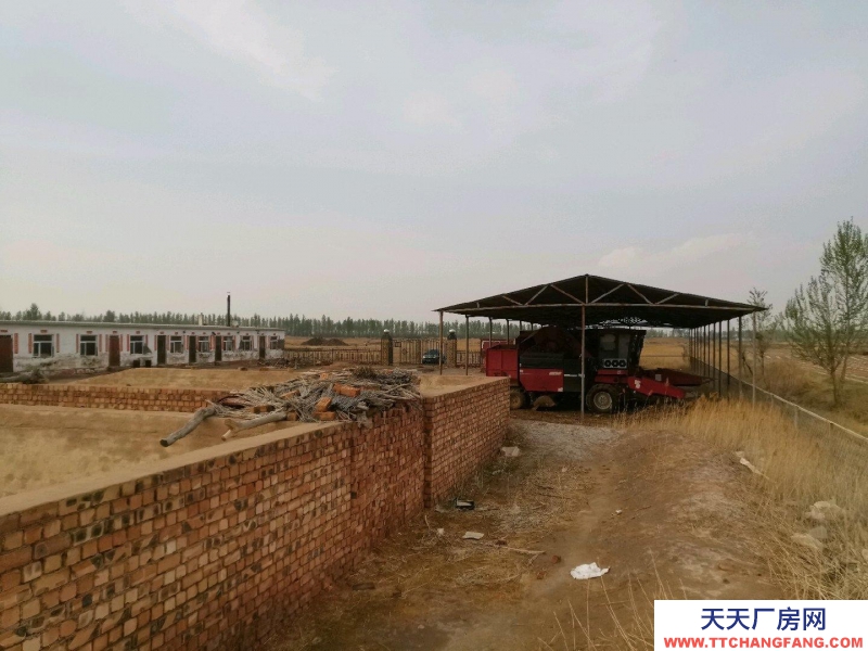 (出售) 巴彥淖爾標(biāo)準(zhǔn)化養(yǎng)殖出售轉(zhuǎn)讓 生意轉(zhuǎn)讓 配套設(shè)施齊全 個(gè)人房源