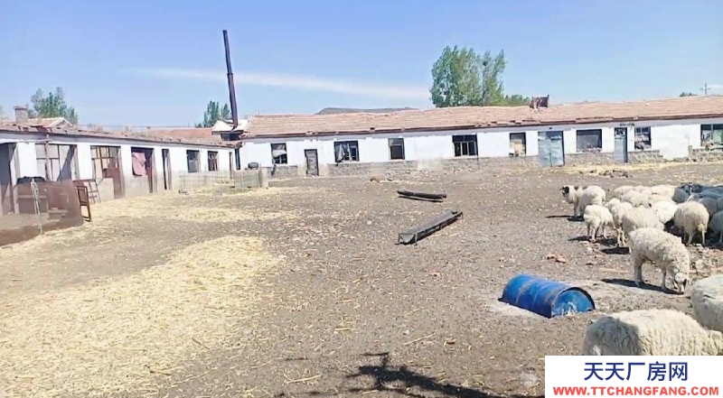 (出售) 烏蘭察布兩畝半大院廠房手續(xù)集寧機場北3公里大十號村