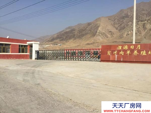 湟源日月標(biāo)準(zhǔn)化牛羊養(yǎng)殖場低價出售