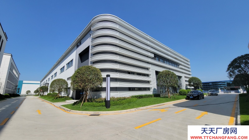 出租青白江全新高品質單層鋼結構廠房 11米層高