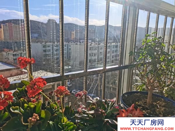 格爾木房子位于東村彩門口，平房