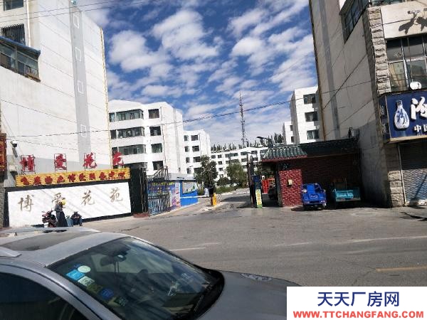 格爾木市中心博愛花苑87平米地下室出租，可用作倉儲