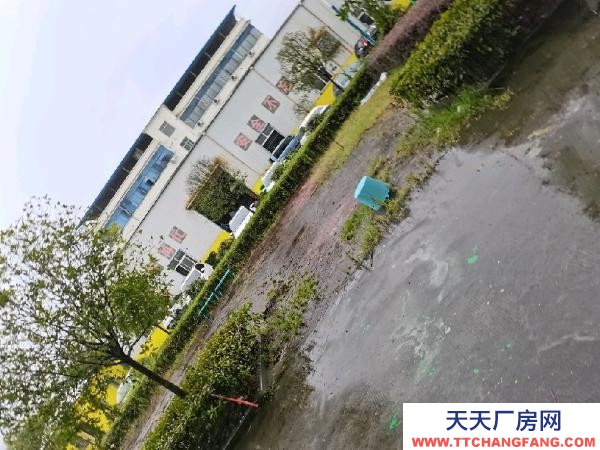 九江市武寧機加工廠房 8畝土地,已建兩棟,可租可賣