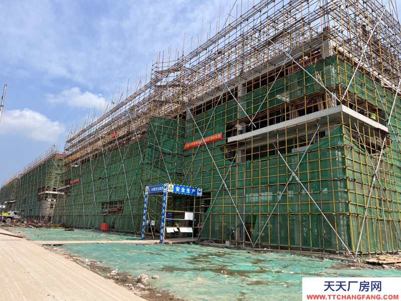 嘉興海鹽獨棟2-3層全新廠房出售