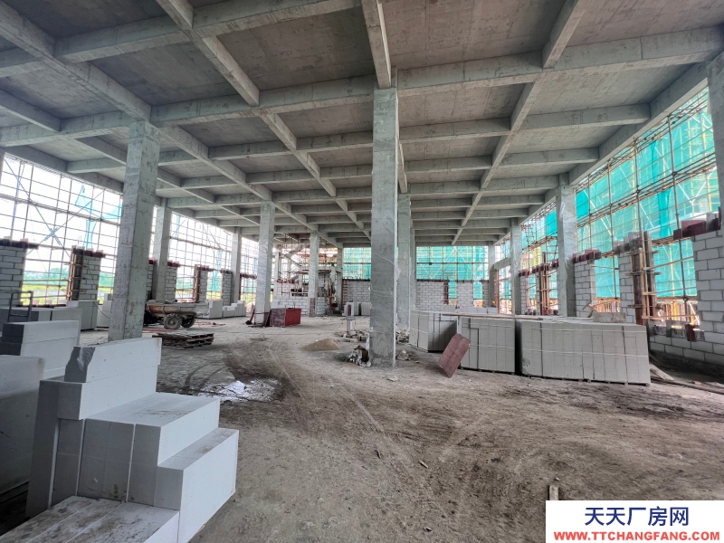 嘉興海鹽獨棟2-3層全新廠房出售