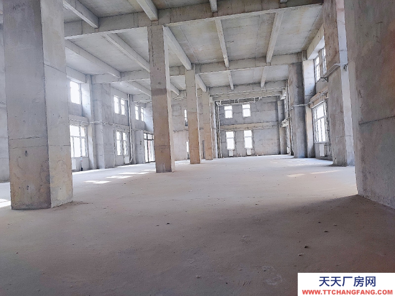 國家級園區、整棟帶院、非中介、