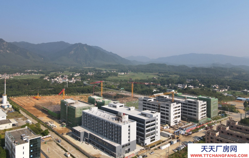 買廠房 找萬洋 量身定制 首付20%