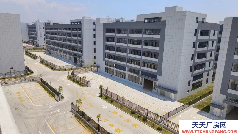 買廠房 找萬洋 量身定制 首付20%