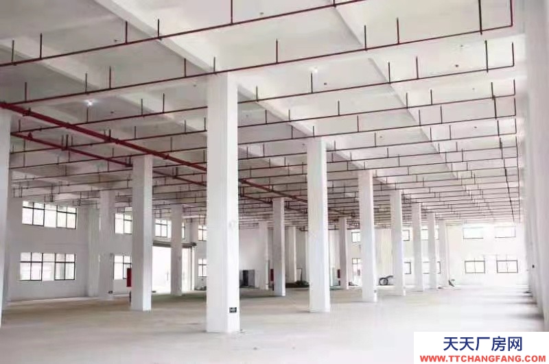 出售50年產(chǎn)權(quán)獨(dú)門獨(dú)院廠房