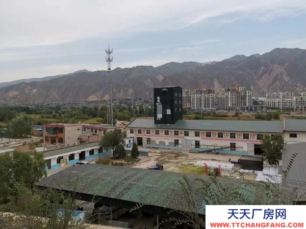 民和青海海東 飼料廠出售合作轉讓代工