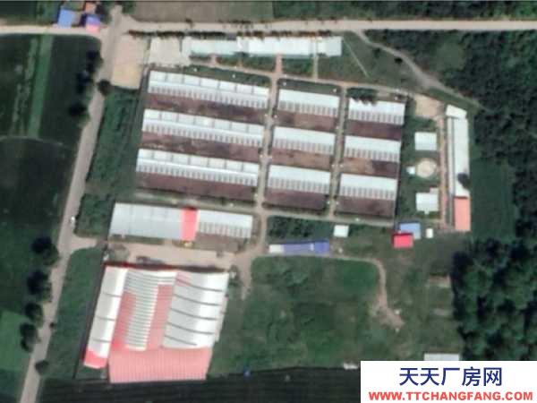 互助標準化養殖基地全套轉讓出售