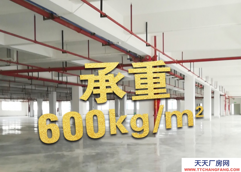 出售全新獨院廠房， 50年產權，已做丙類消防，有噴淋，價格2500元/方起