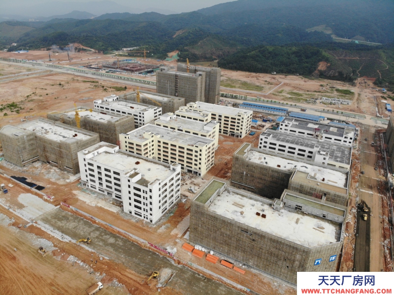 買廠房 找佛岡萬洋 量身定制 首付20%