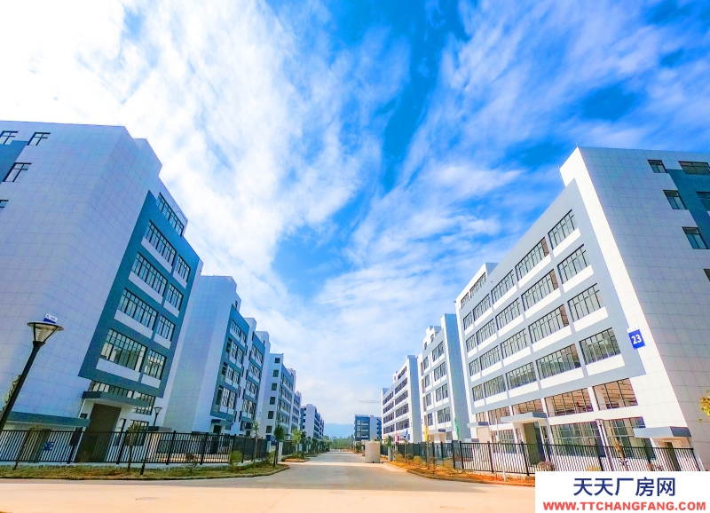 買廠房 找萬洋 量身定制 首付20%