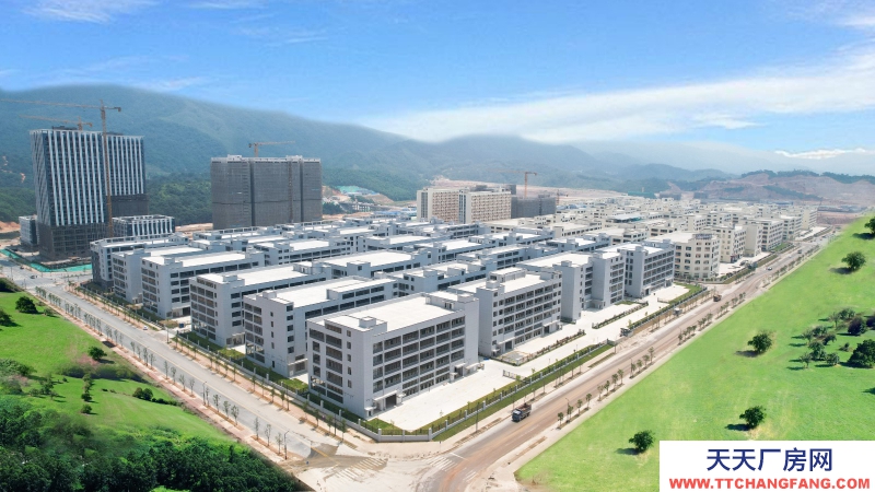 獨門獨院，50年產權，均價3100/方 兩成首付，環保免費代辦