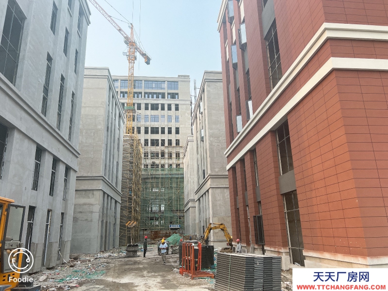 天寧現房廠房，可研發辦公倉儲生產，緊鄰高速高速