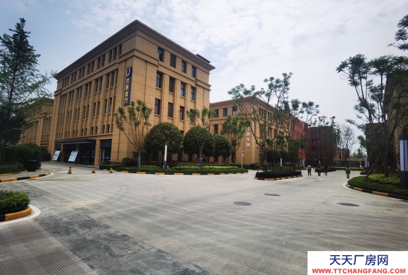 溫江廠房現房出租醫療器械主題性園區