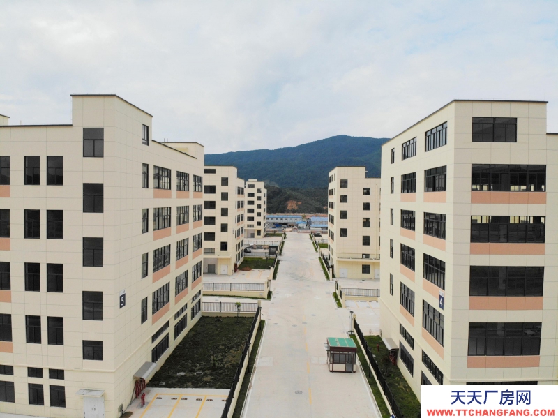 佛岡:買廠房 找萬洋 量身定制 首付20% + 18318528020