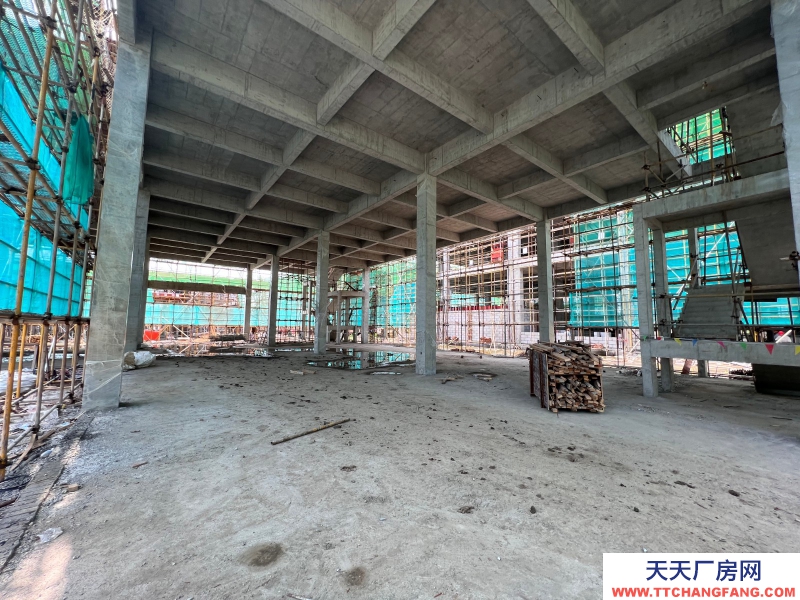 嘉興獨棟廠房出售首付150萬起