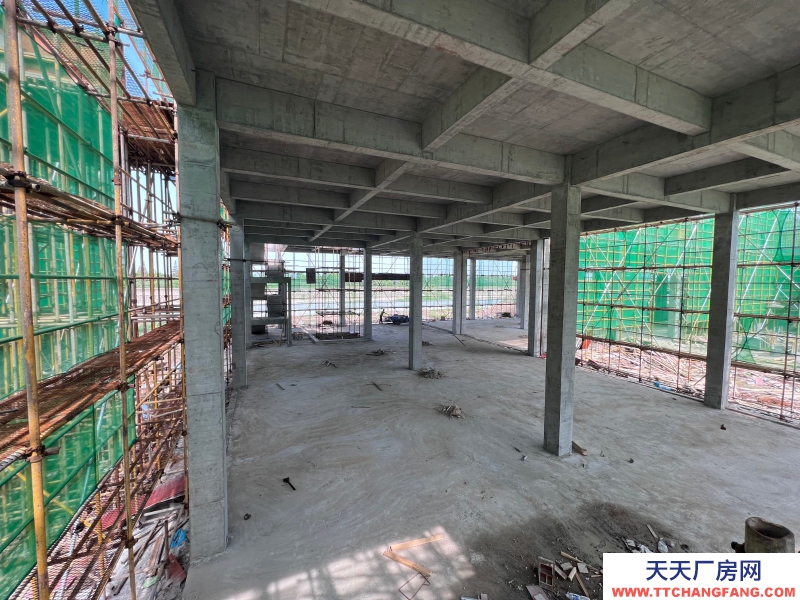 嘉興獨棟廠房出售首付150萬起