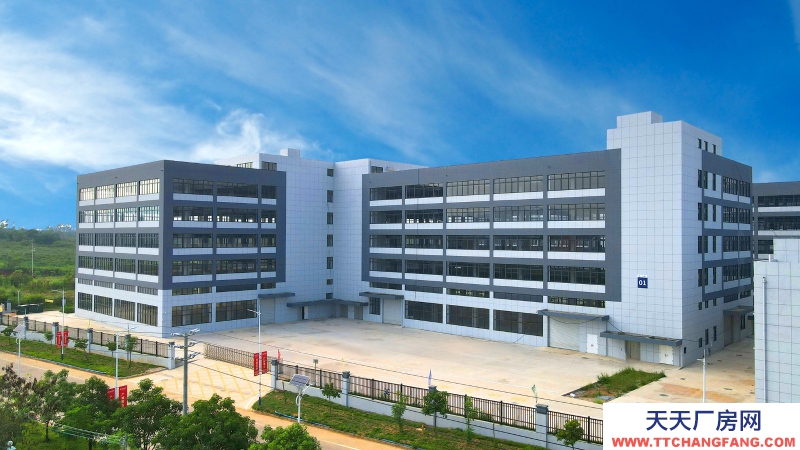 買廠房 找萬洋 量身定制 首付20%