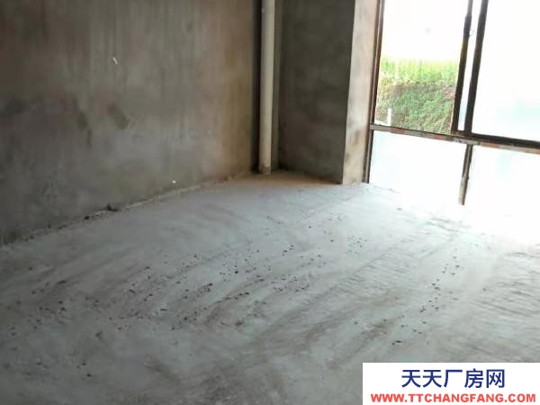 九江市彭澤物資倉庫 龍鼎大市場內，一至三層可全租或分層出租