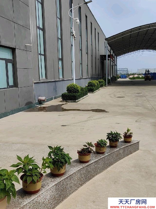 定州 西城(飲料廠房出租) 地理位置優越，離定州西高速口1