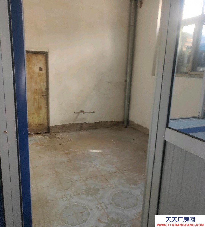 定州 西城(出租) 勝利街焦化廠小學(xué)北行200路東