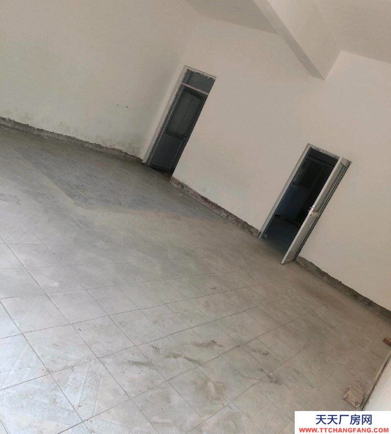 定州 西城(出租) 勝利街焦化廠小學(xué)北行200路東