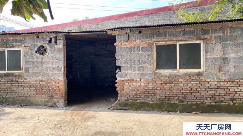 定州 西城(出租) 正房四間 東西兩側(cè)配房可做倉庫