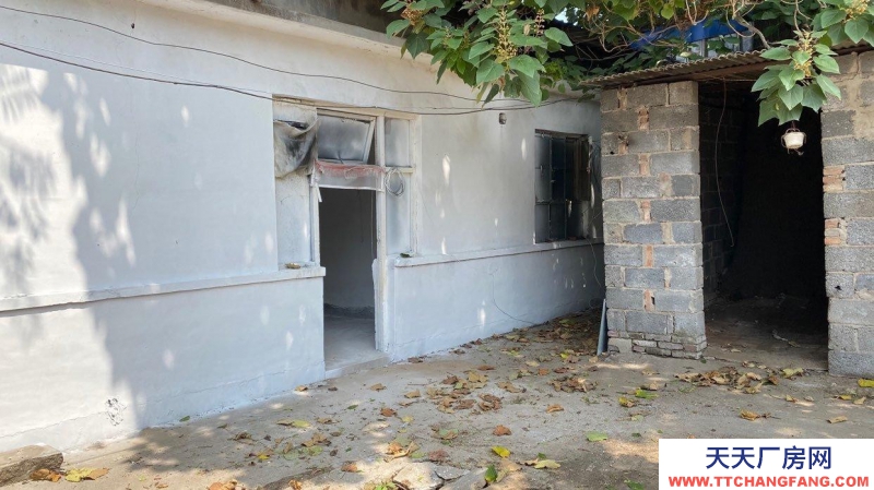 定州 西城(出租) 正房四間 東西兩側(cè)配房可做倉庫