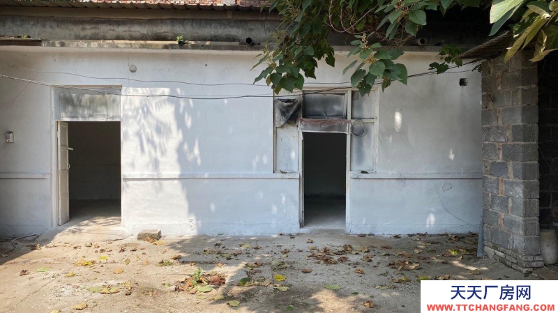 定州 西城(出租) 正房四間 東西兩側(cè)配房可做倉(cāng)庫(kù)