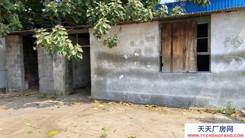 定州 西城(出租) 正房四間 東西兩側(cè)配房可做倉庫