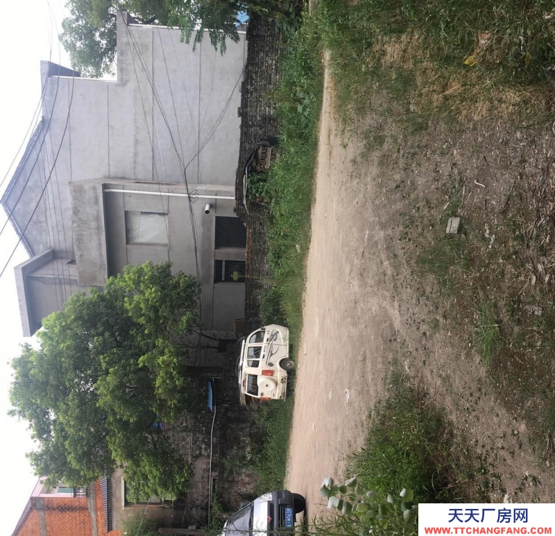 臺(tái)州市天臺(tái)(出租) 房租便宜581005