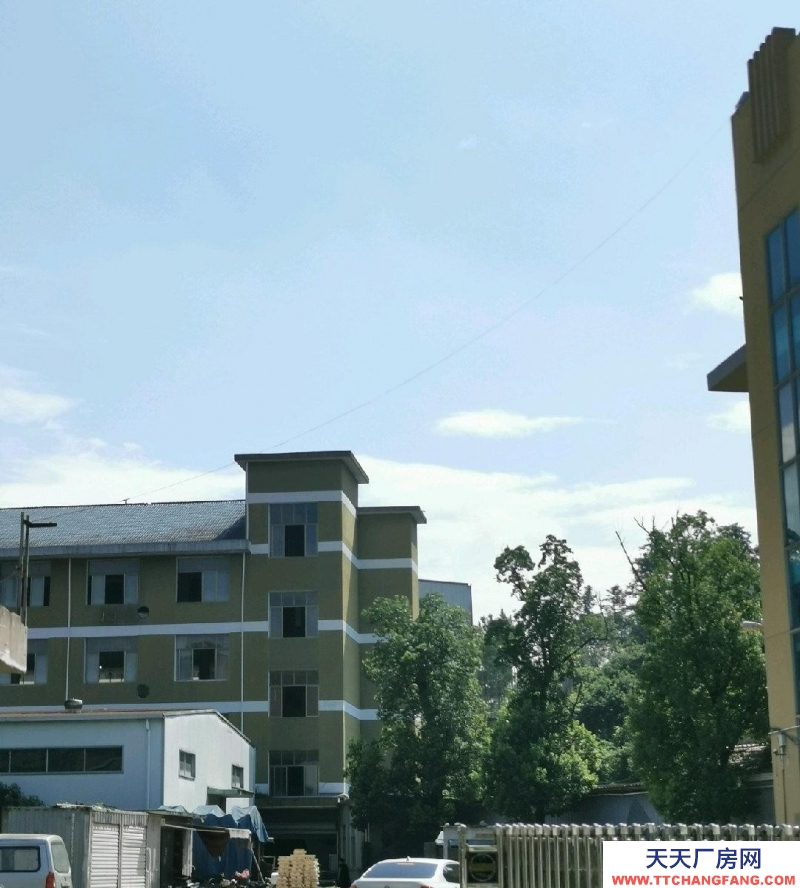 臺(tái)州市仙居(出租) 工藝品城大馬路邊位置好，入出方便整租，獨(dú)門(mén)獨(dú)戶 水果制品