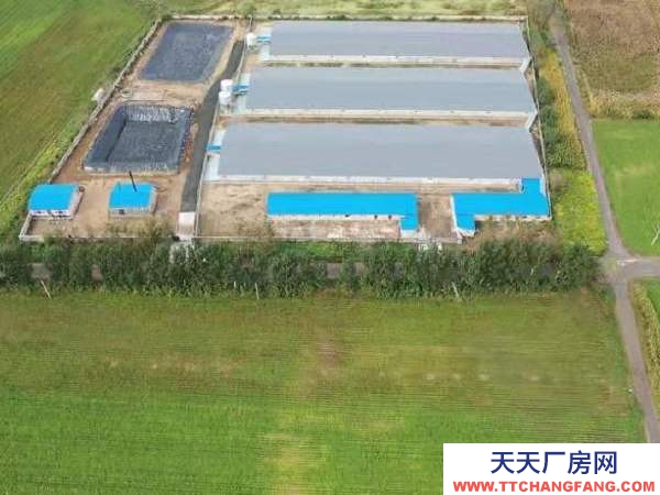 遼中年建養豬場，設施齊全，豬舍面積5500平，占地20畝