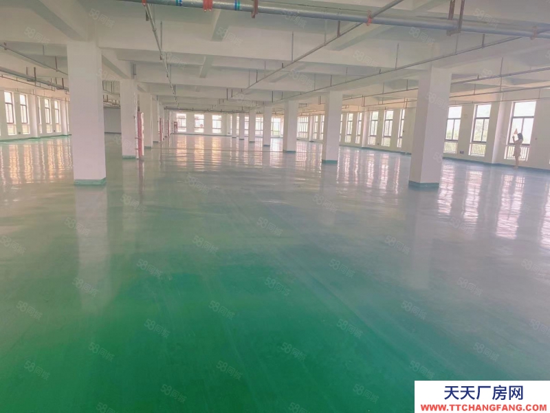 (出租) 東關產業園 廠房倉庫 200至2500方 可辦環評 可輕加