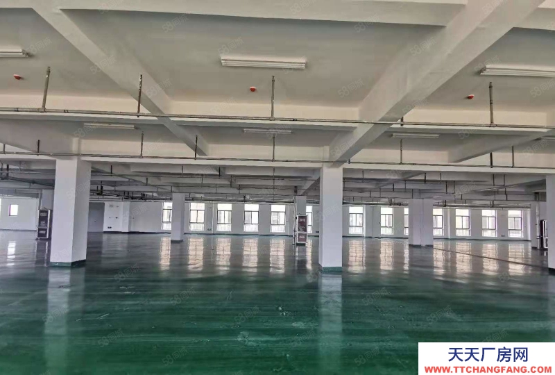 (出租) 標準化廠房200方至5000方 地坪墻面已完善 三相電入戶