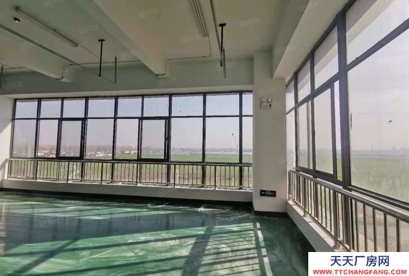 (出租) 標準化廠房200方至5000方 地坪墻面已完善 三相電入戶